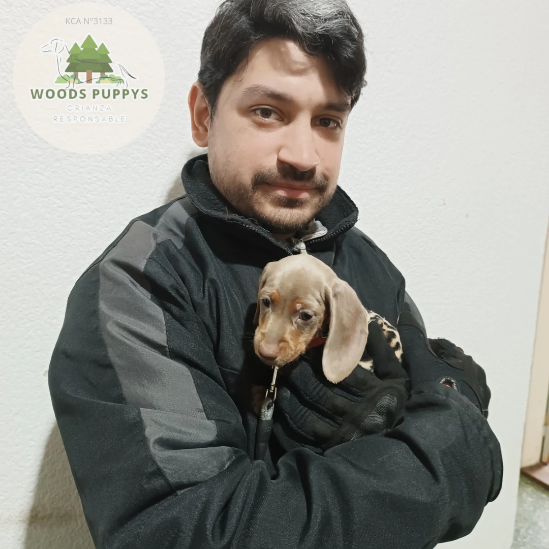 Cachorro con su nueva familia