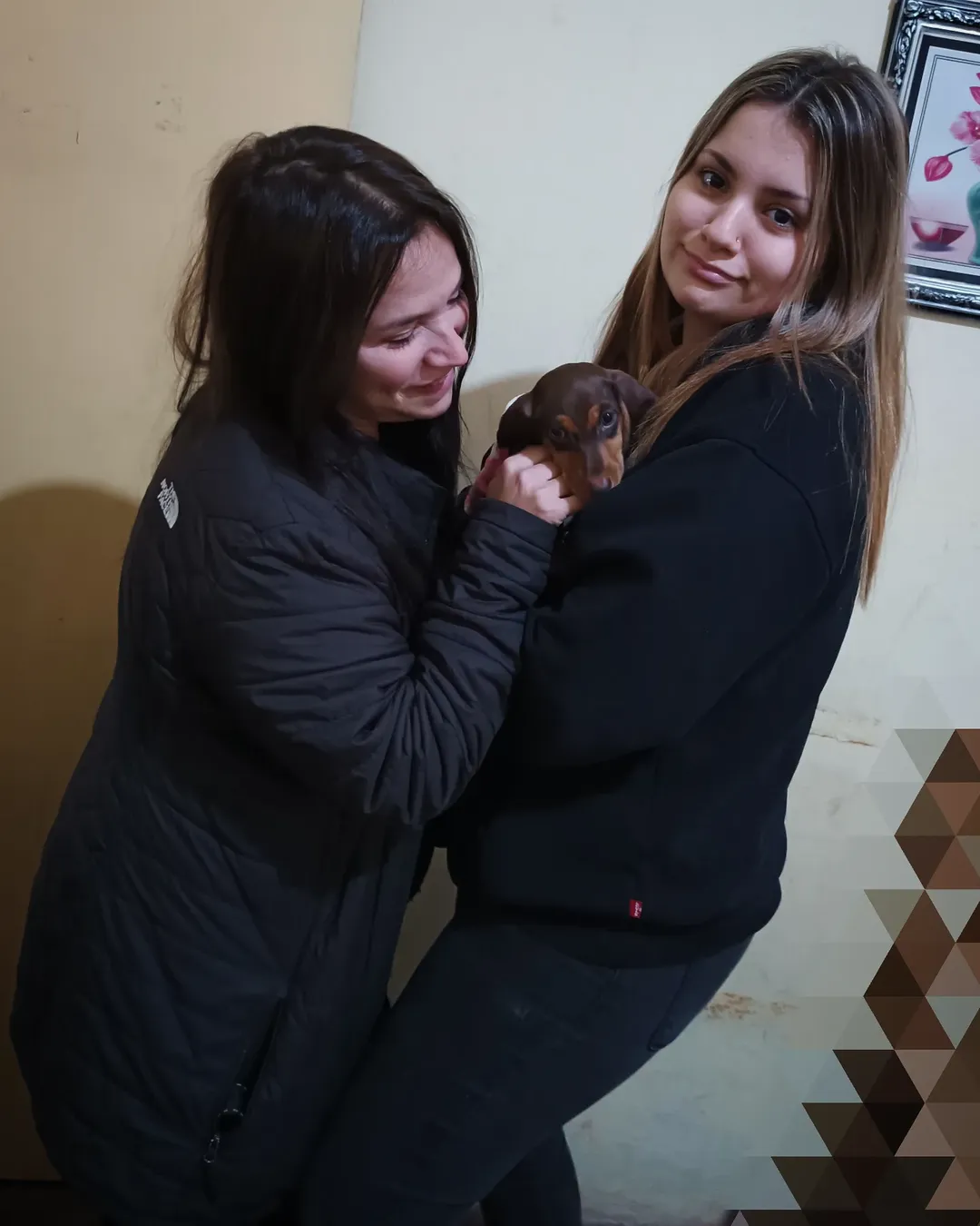 Cachorro con su nueva familia